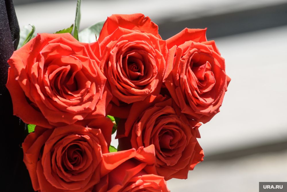 � ���������� ������� �������� �����