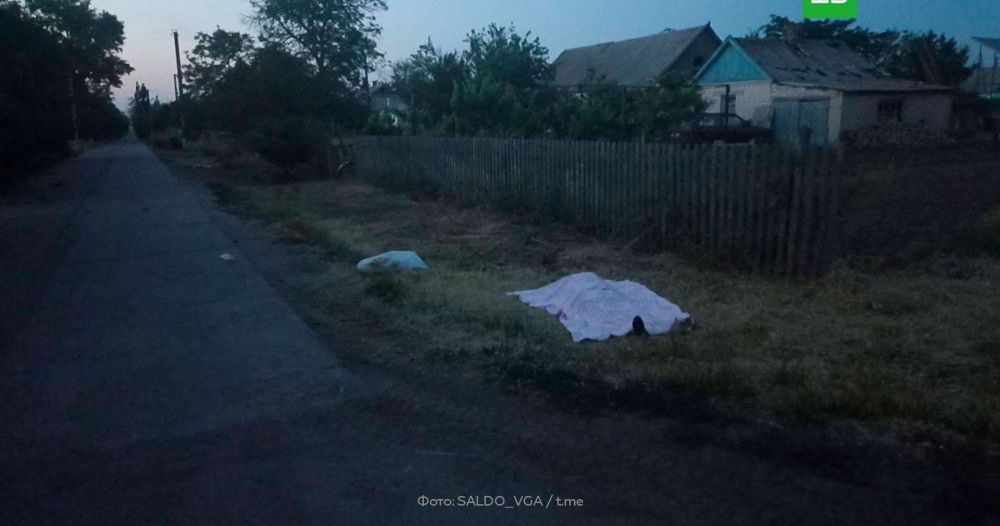 ���������� ������� �������� ����������� ����� ����� ������ 22 �������