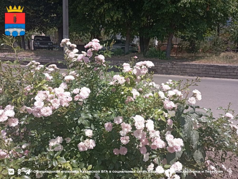 ������ ����, ������ ���������� �������������� ������!