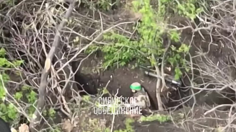 ����� ������ � �������������� ����������� ����� ������ ��� �� ���������� �����������