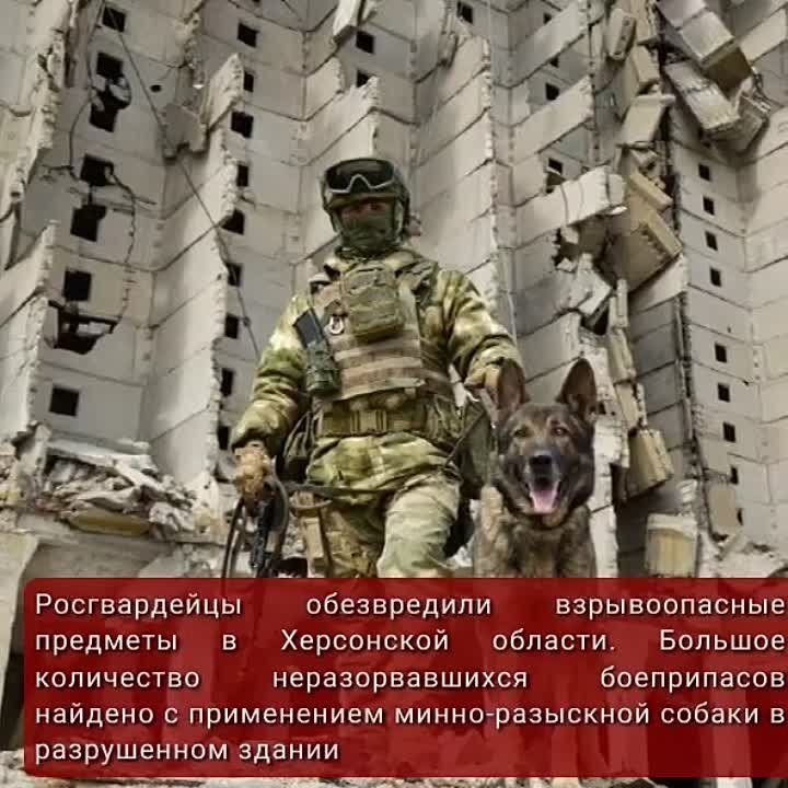 #���������������. ������������ ����������� ������������� �������� � ���������� ������� ��������� ���������� ������� �������...