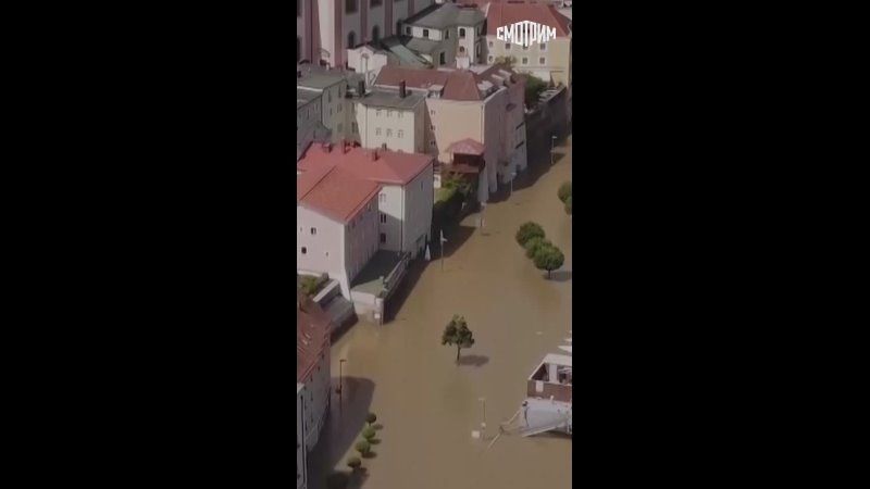 ������� ������� ����� ���: