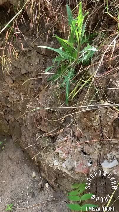 ���� ���������� �� ����������� ����������� ���������� �� ������ �������� ���������� ����������� ���������