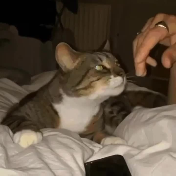 ����� ����������: ������!. � ���������� �����, ��� ����� ������� ����� �� ������ ��������� ������������� ������, ������ �� ����������, � ��� � ��������� ������������