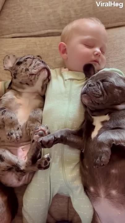 ������ ����. ������ � ������� ���� ����� ����� �� ������ �������� ������. ��� �������. ����������� �� +20 ����� �� +33 ���