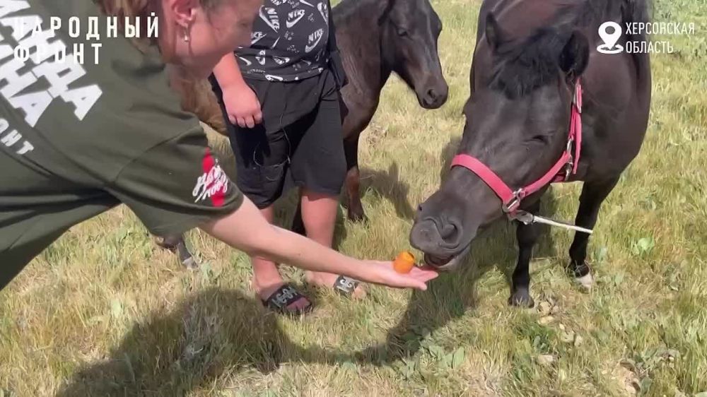 �� �� ���� ������: ��������� �� ���������� ������� ���� �� ���� ��������������� �� �������