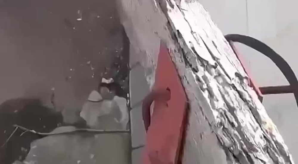 � ������ ����� �������� ������ � ���� ��� ����������