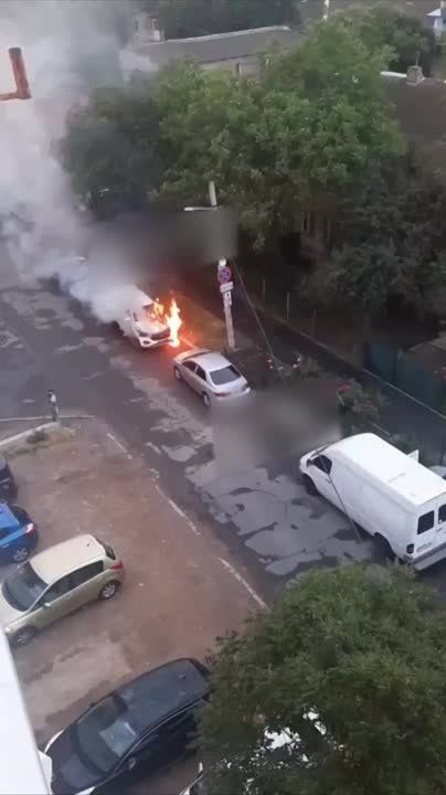 ���� ���������: �������� ���� ������ ���������� ����������