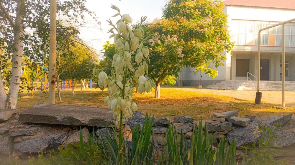 � ������ �����, �����������!