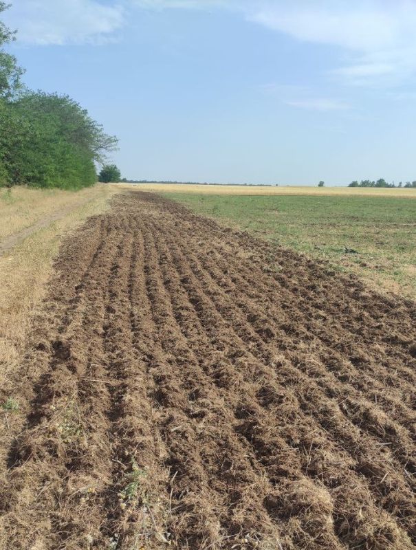 � ���� ��������� ����������� ������ ���� ��������� ��������������� �����������