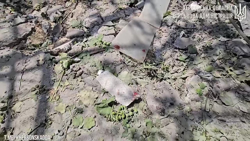 � �� ��� ������.... ������������ ����������: �������� ���� �������� ���� ������������ ��� ���� ����� � ������������� �������, � ���������� �������� ���������� 102-������ ��������