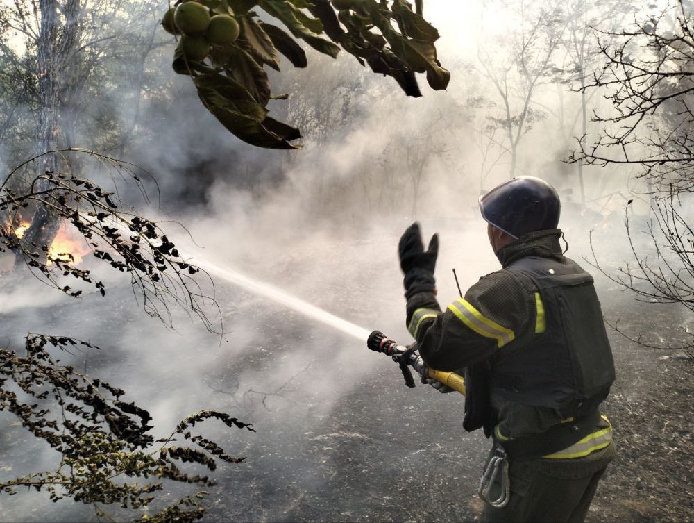 ������ ����� ����� � ����������� ������