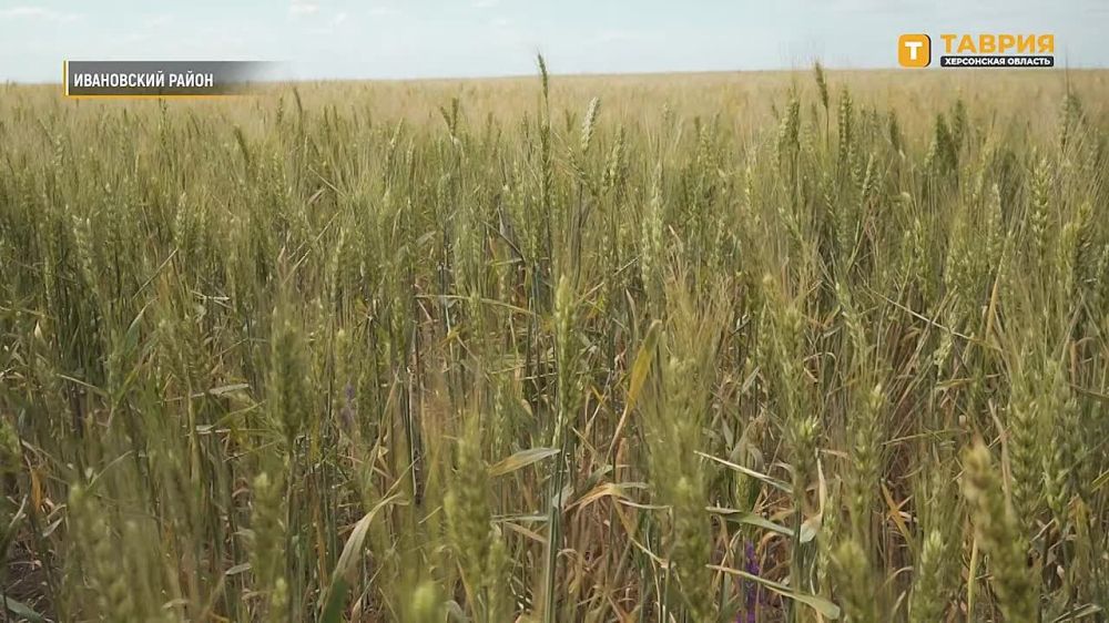 � ���������� ������� ����������� �������� ������� ������