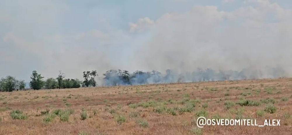 ����� �������.. ������� ������� � ����� ���, ����� ���������� ����. � ��������� ������ ���������� ����� - ����� ����, ����...