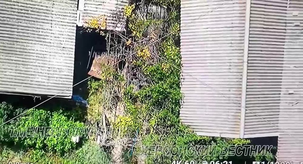 �������������� �� �� 18-�� ������������� ����� ��������� ���������� �� ������ ����� �����������, ��������� ���������� ��� ��������������