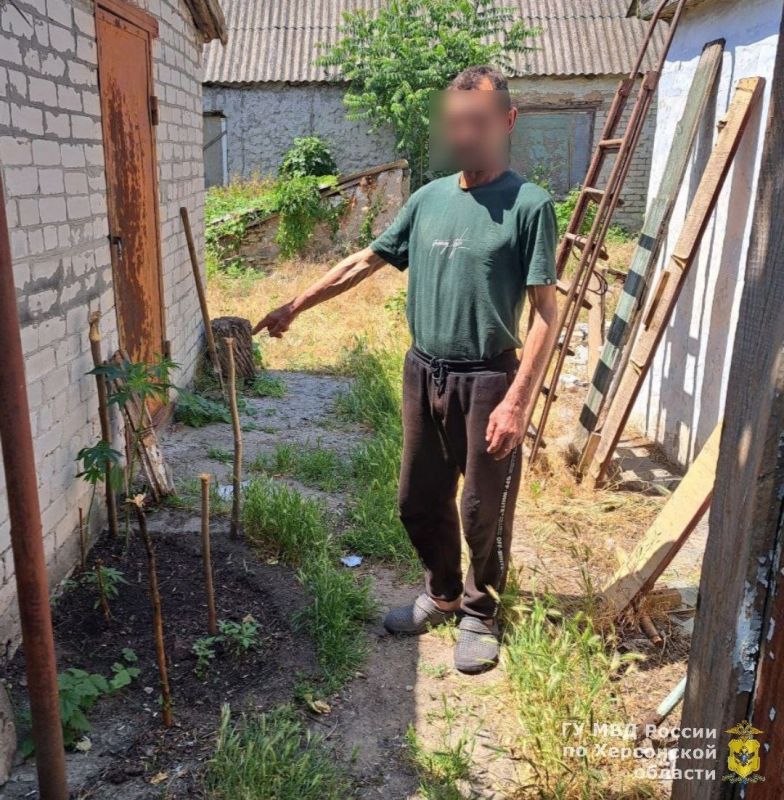 � ���������� ������� ����������� ���������� �� ������������ ������� ������ �. ������ 36 ������ ������� � ���������� �����������