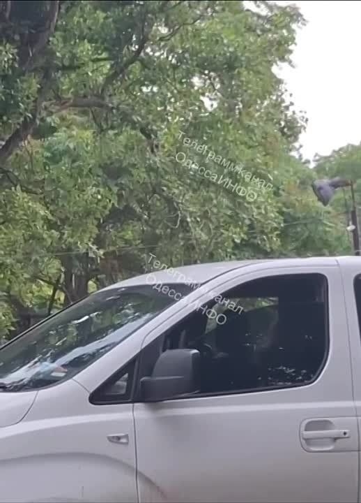 ���� �������. �������� �������� �� ����� � ������, ������� ������ ��������� � ��������� �����. ���� ������� � ������� � ����� ���������