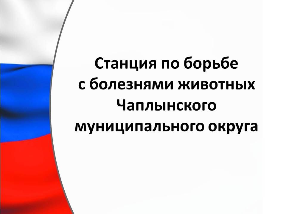 ��� ���������� ������� "���� ����������� �������������� ������ ����������� ����������� ��� , �������������� ����������������, ���������� ��� ��� ����������� ��������� ��: