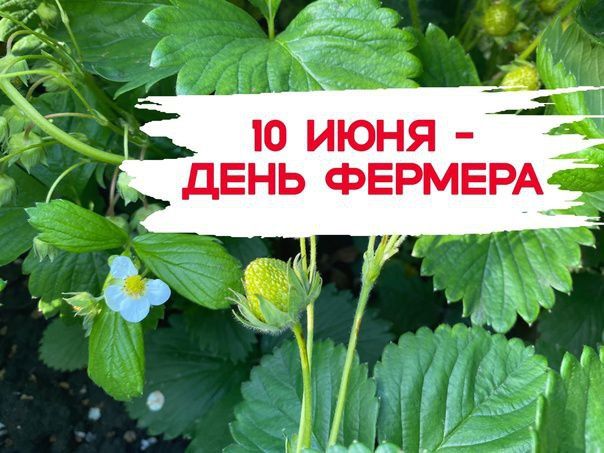 ��������� ������� � ��������� ���������� �������� �������������� �������������!