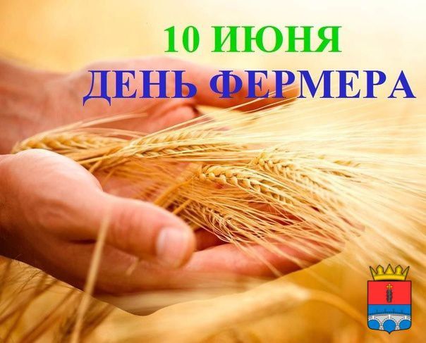 ����� ��������: � ���� �������, �������!