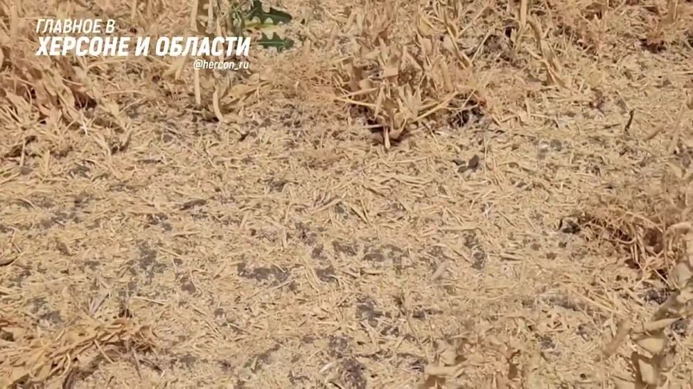 ������� ���������� ������ �������� � ������� ��������� �� ������� � ���� �������� � ��������� �� �������� �� ��������� ��������� ������