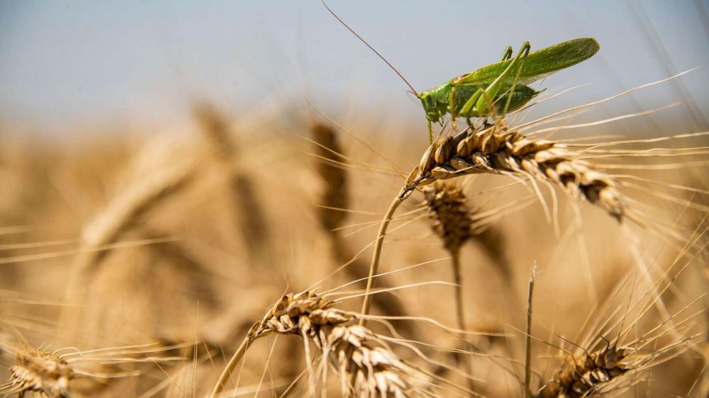 ������ ������ �� ���������� �� ��������� �� �� ����������������� ������������ � ������