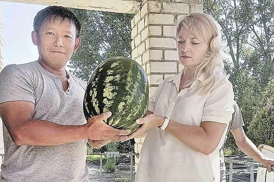 ����������� ���������� - ������ ������� � ������: ����� ������������ ���� � ���������������� ���������� �������