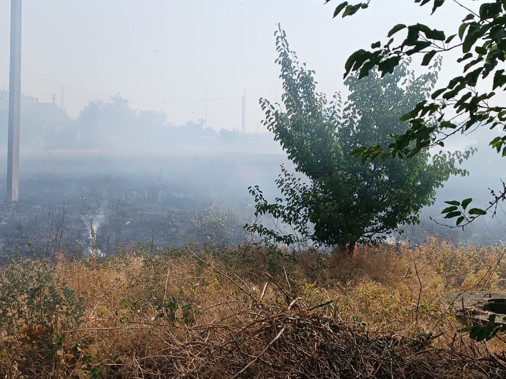 ������ ������� ������� ������������ ����� � ���� ������������� ���������� ������