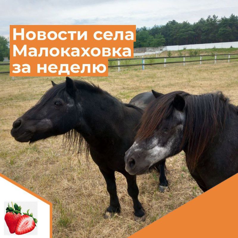 ������� ���� ����������� �� ������ � 3 �� 9 ����