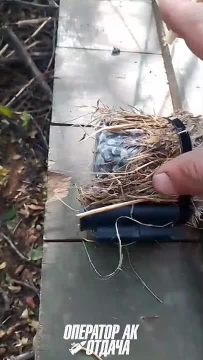 ��������� �������: ����� ���� - ��������!. �� ���������� ����������� ��������� ���������� �� ���� ������� �������� ����������� ���������� ��������