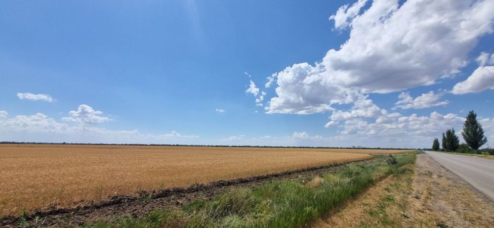 ����������. ���� ��������, ������