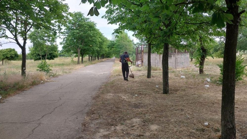 ������������� �������-���� �������� �������������� �����