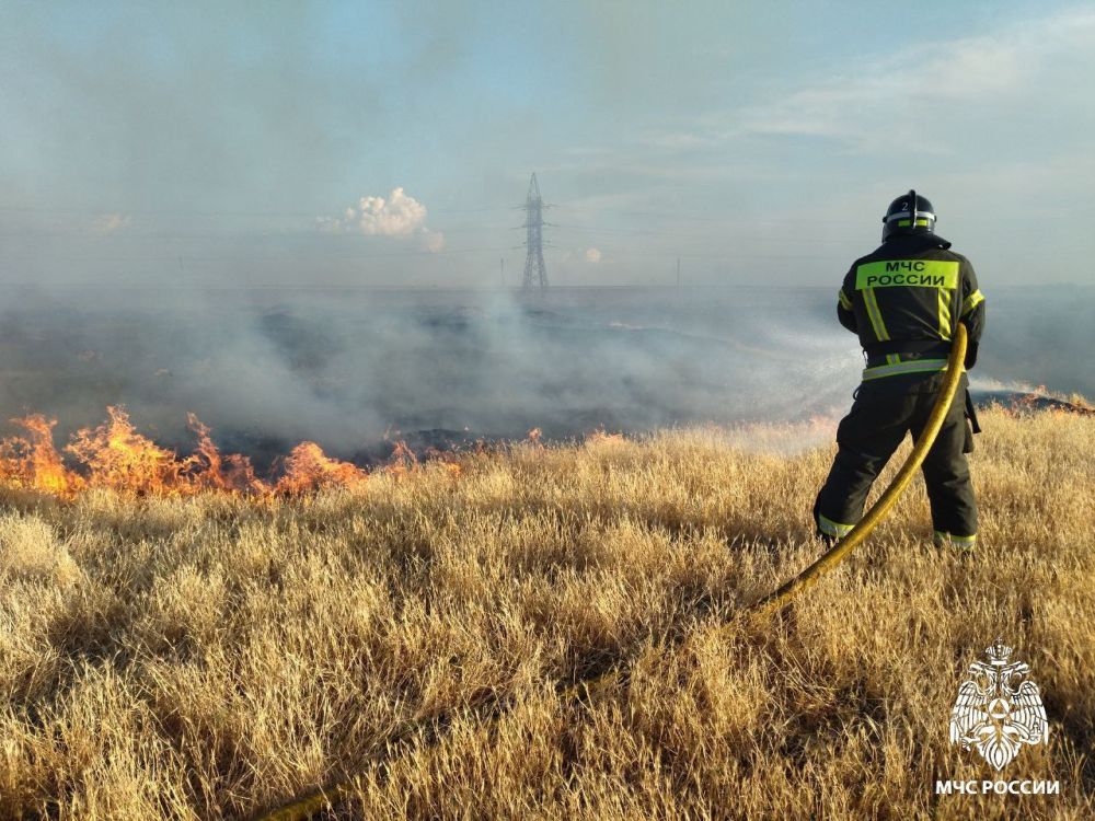 ���� ����� ����� ���������!