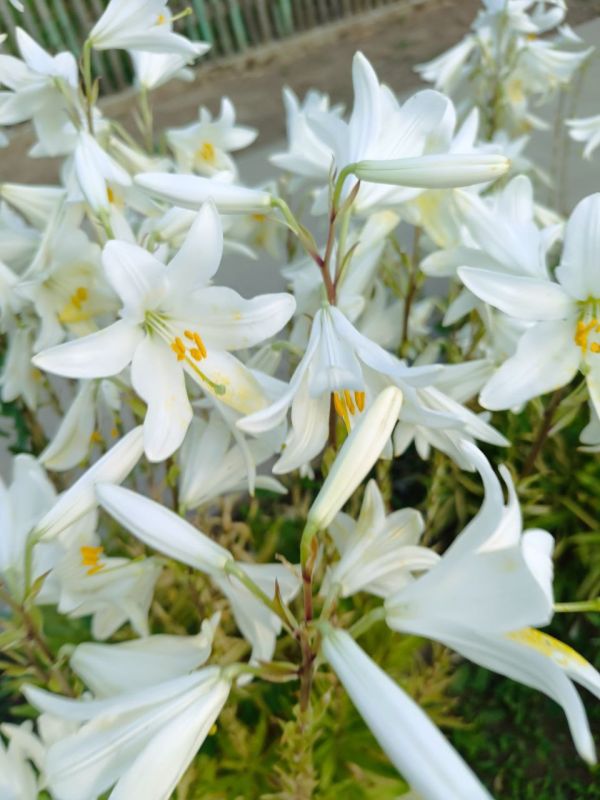 � ������ �����, �����������!