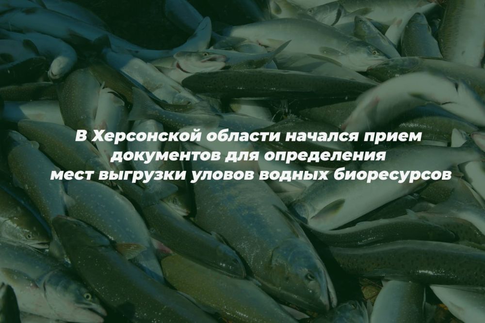 � ���������� ������� ������� ����� ���������� ����������� ���� �������� ������ ������ �����������