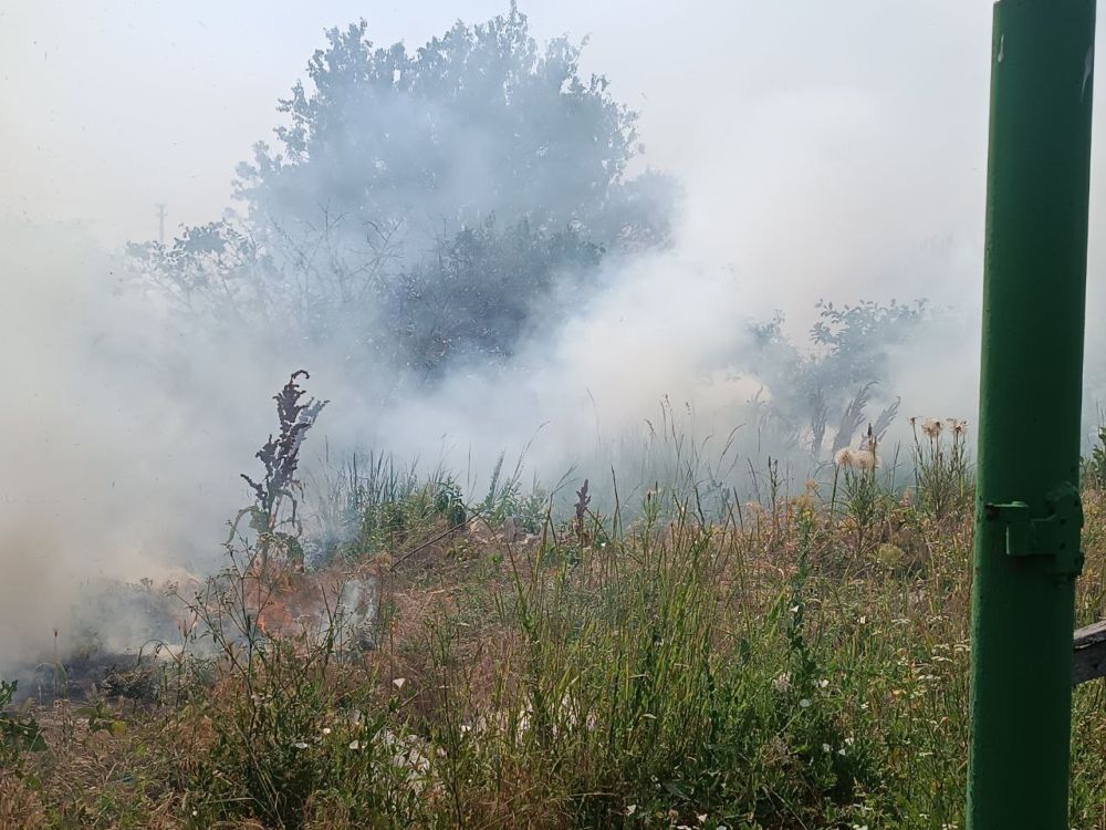 ������ ������������� ����������� �������� ������������� �����