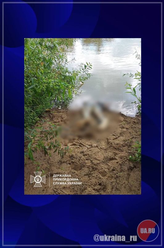 ���������� ��������������� �������� �� ����������� �������� ������ �� ����� ���� ����������� � ����������� ����