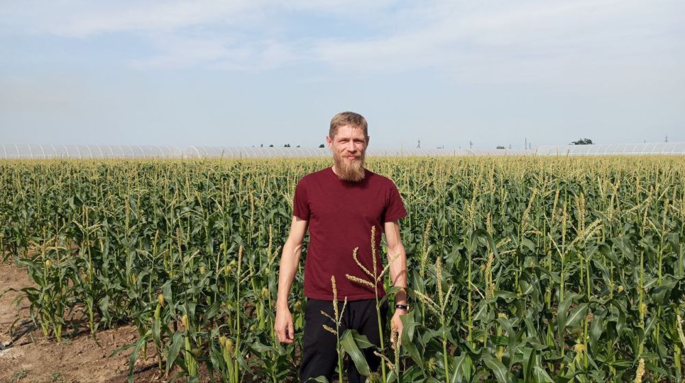 � ������ �����, �����������!