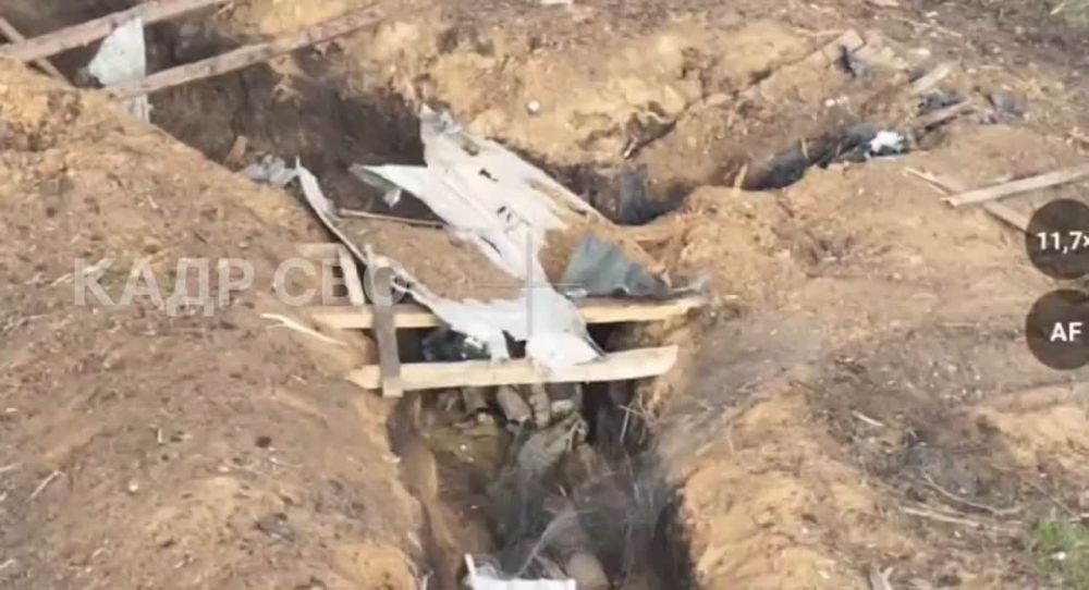 ����� ������� ���� �� ����� ���