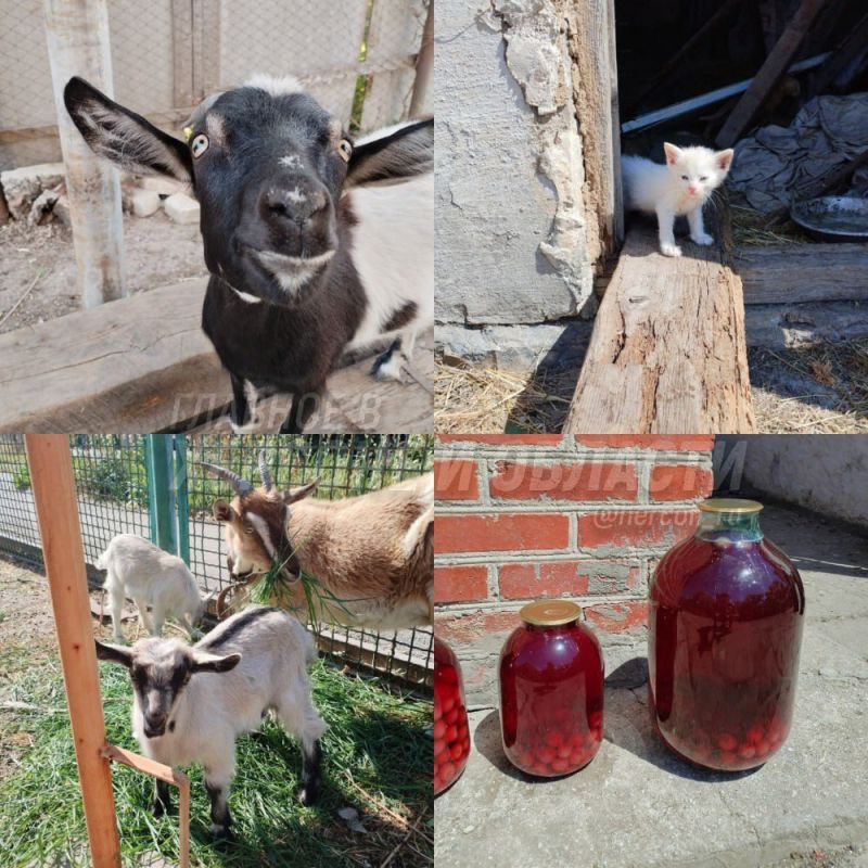 �������, ������ � �������� ���������� ������ � �������������� ���������� ��������� �� ������ ����������