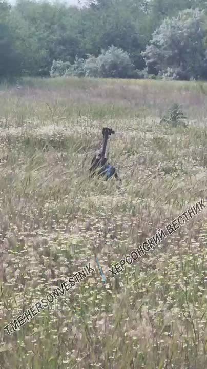 ����� 18-� ������������� ����� ����� "���� ���" �� ���������� �����������