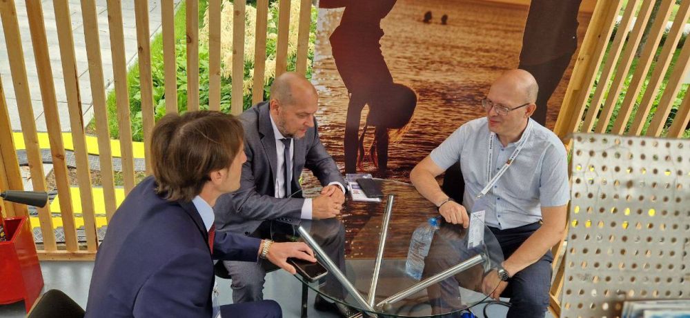 � ������ ����������� �������������� ������ ������������ �.�