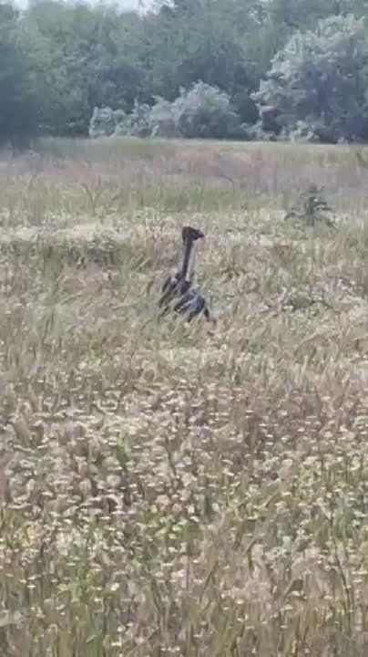 ������� �������: �� ����� � ����� 126-� ��������� ����������� ������� ��������� ������� ���������� ���������� ���� ���