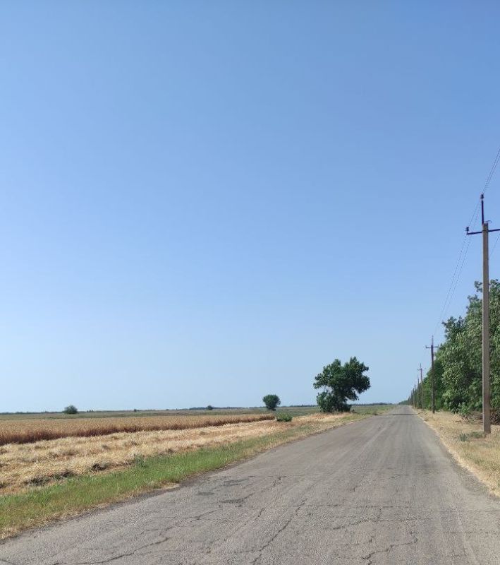 � ���� ��������� �������� ������ ������� ������