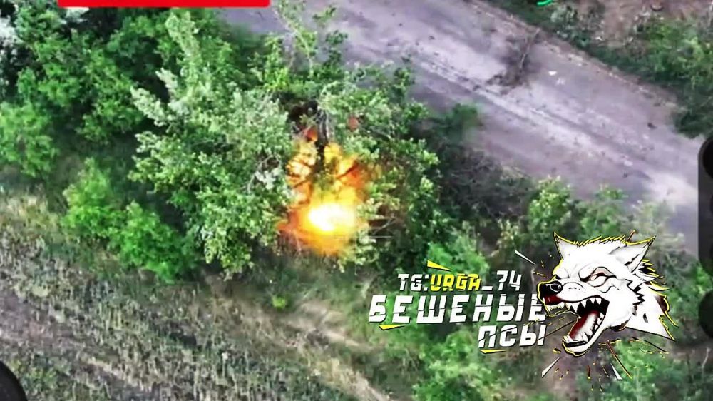 �������� FPV ����� "����" ������� ������� ��� ���������� �������� ��������� ������� ��� �� ���������� �����������