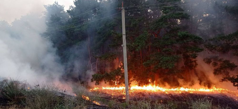 � ����� ������� � ���������� �������� ������� ������� ����������, ����� ���� ������� � �������� ������