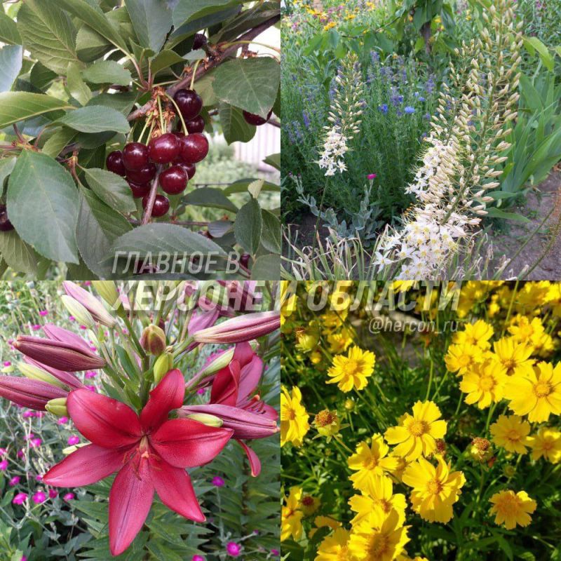 �������, ���������� ����������� ������ � ���������� �������� ���������� � ���� ����� �������� �����