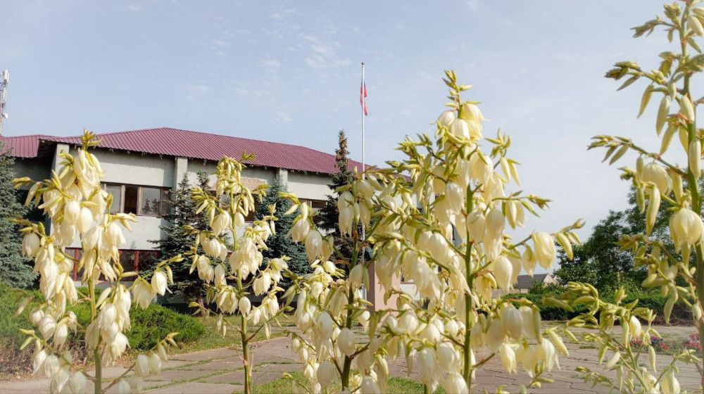 � ����� ������� ����!. �������� ���� �������� ��������, �������������, �����������. � �������� ����������