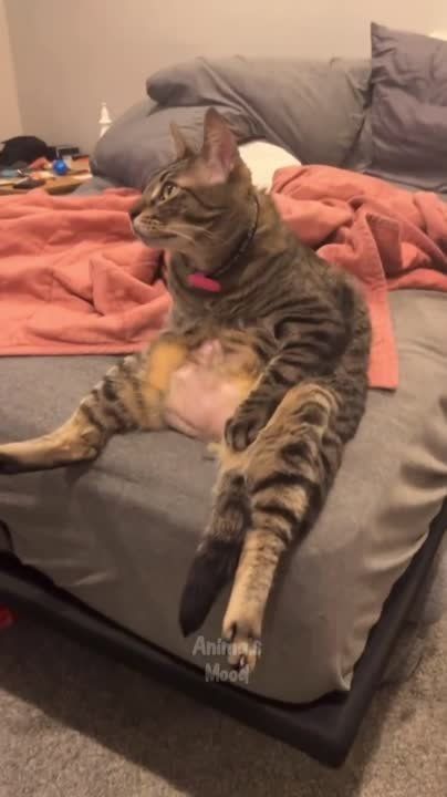 ��������� ����!. ��������-����� ���������� �������