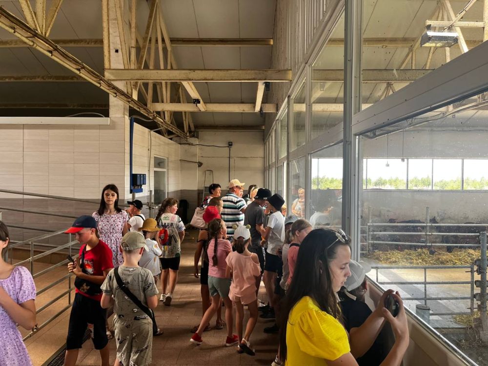 ���� ������ ���������� �������� ����������� � ������ ��������� "�������� ��������������"